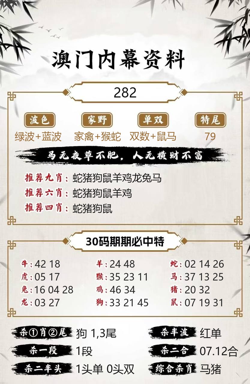 澳门下半场内幕资料模板